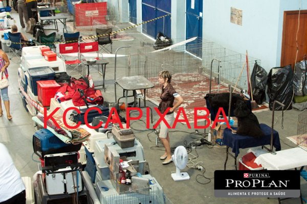 Clique sobre a foto para fechar